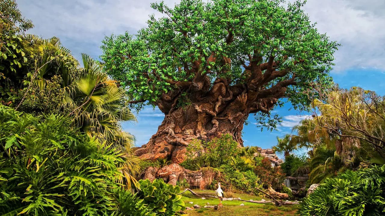 Disney’s Animal Kingdom 1