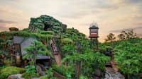 Disney's Theme Park - Orlando