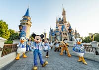 Disney's Theme Park