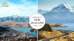 New Zealand