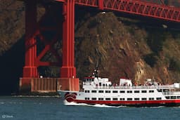 Golden Gate Bay Cruise