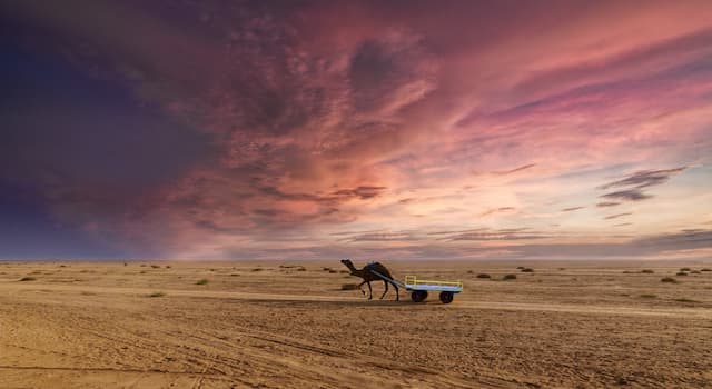 Rann Riders by Kaafila