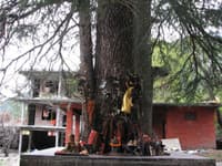 Hidimba Devi Temple