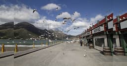 Hout Bay