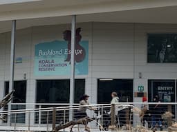 Koala Conservation Reserve