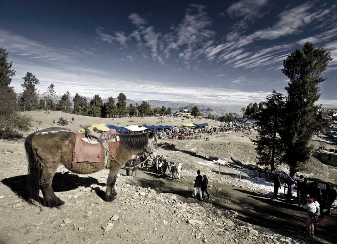 Shimla