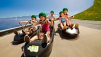 Luge Ride