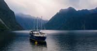Milford Sound Cruise