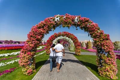 Mircale Garden