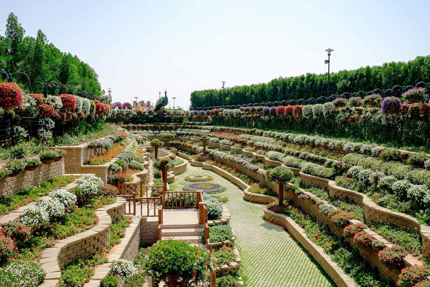 Miracle Garden