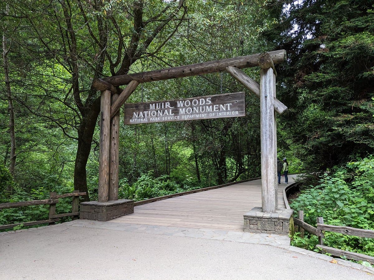 Muir Woods And Sausalitop