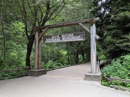 Muir Woods And Sausalitop