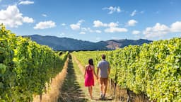 Napa and Sonoma Wine Country