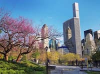 New York City