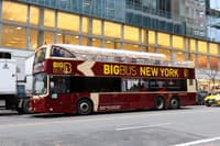 New York City Bus