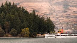 Queenstown Cruise