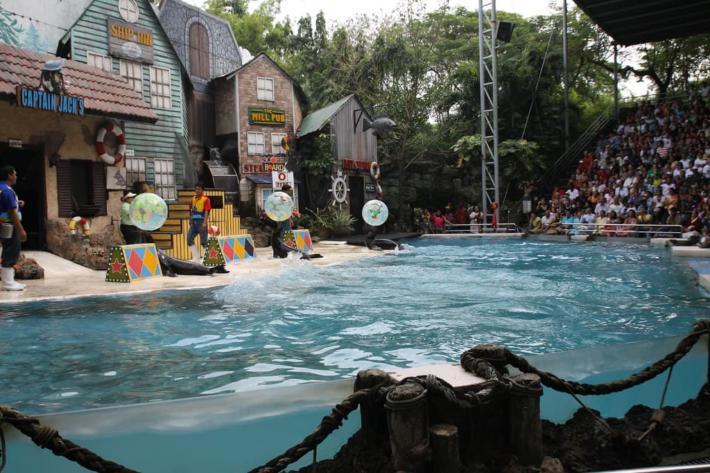 Safari World