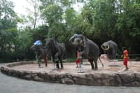 Safari World