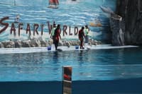 Safari World