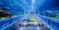 Sea World