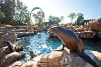 SeaWorld