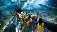 SeaWorld Orlando 2