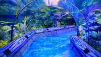 SeaWorld Orlando 3