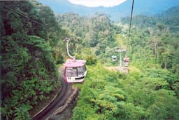 Skyway Cable 2