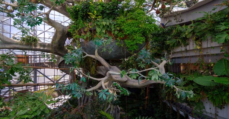The Green Planet