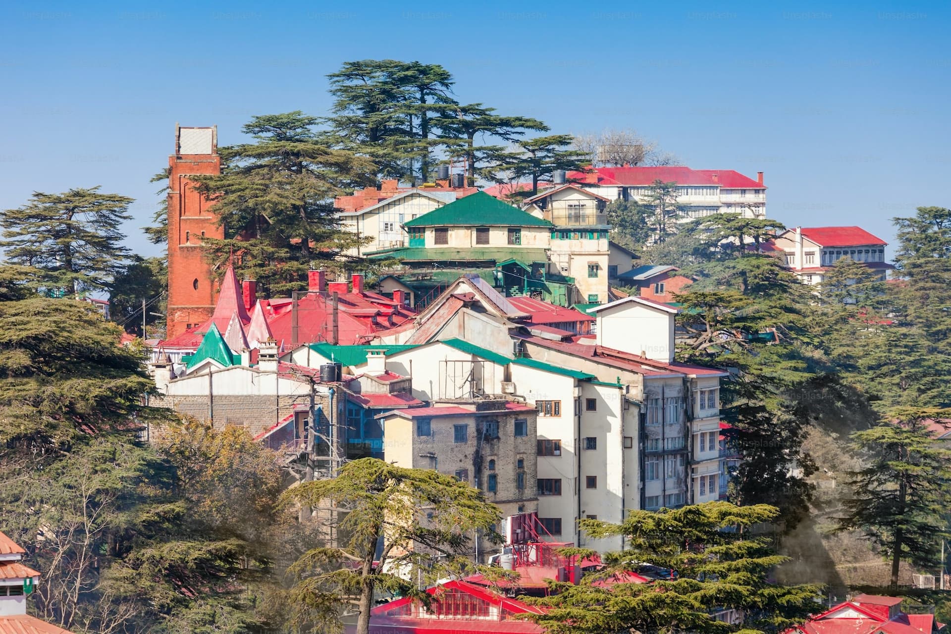 Shimla City Tour 
