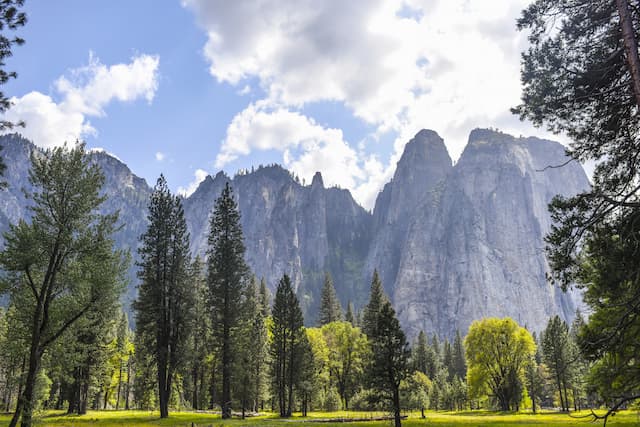 American Dreams Only West