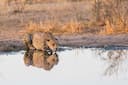 Botswana