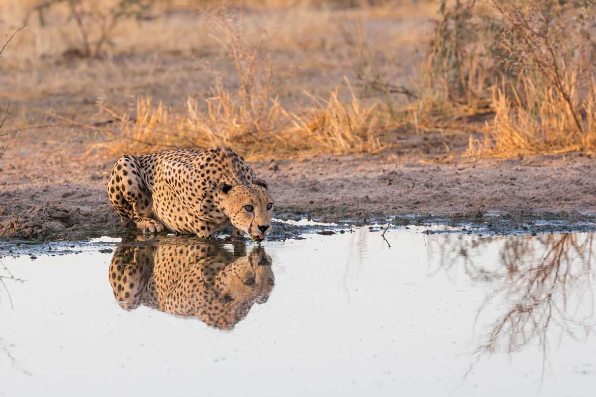 Botswana