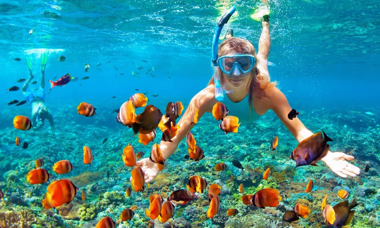 Go Snorkeling