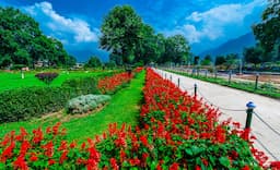 Jammu and Kashmir