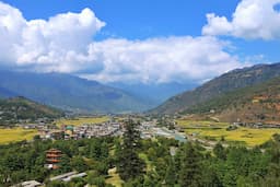 Mountain View with Paro