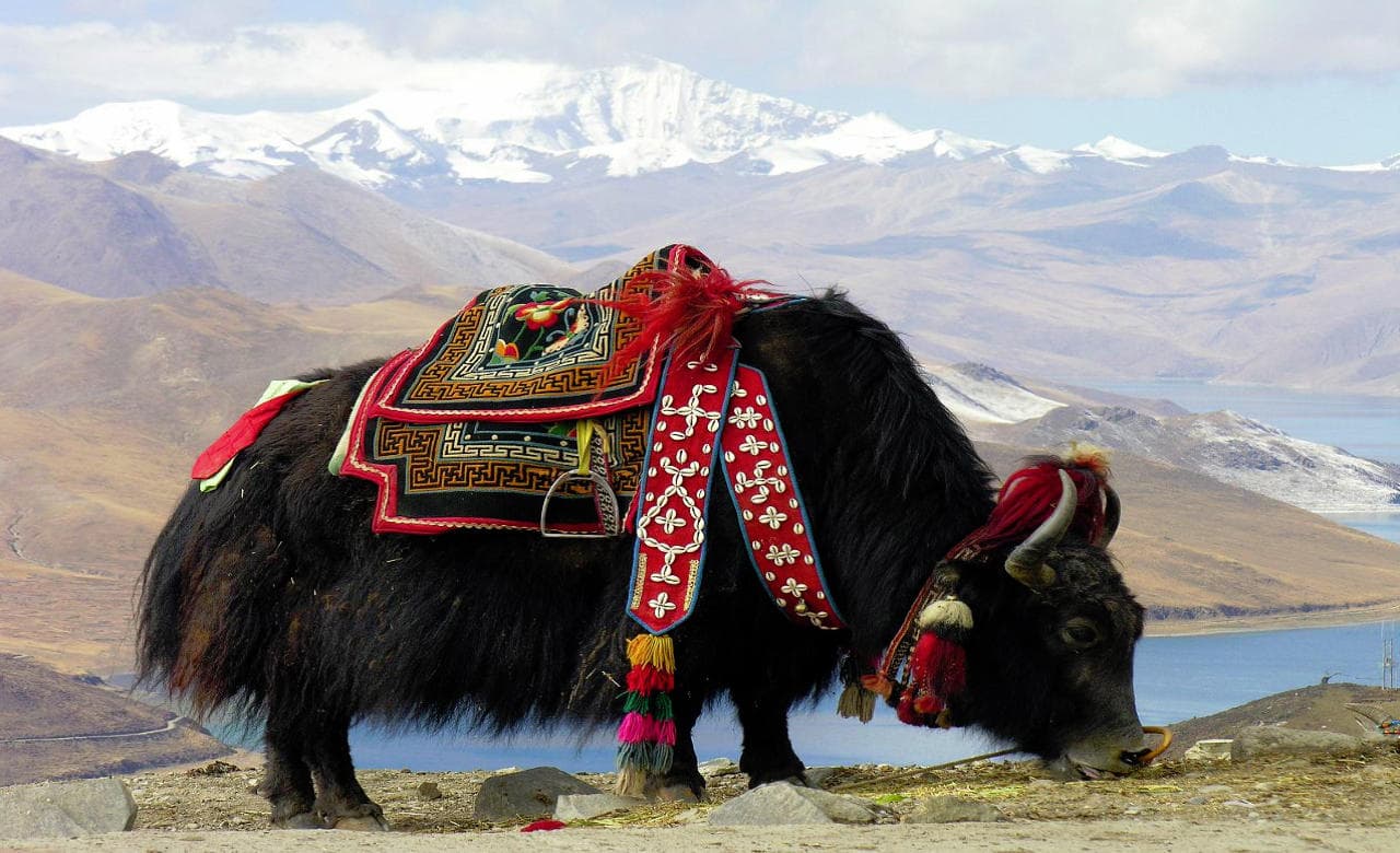 Sikkim 3