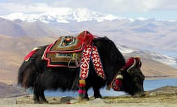 Sikkim 3