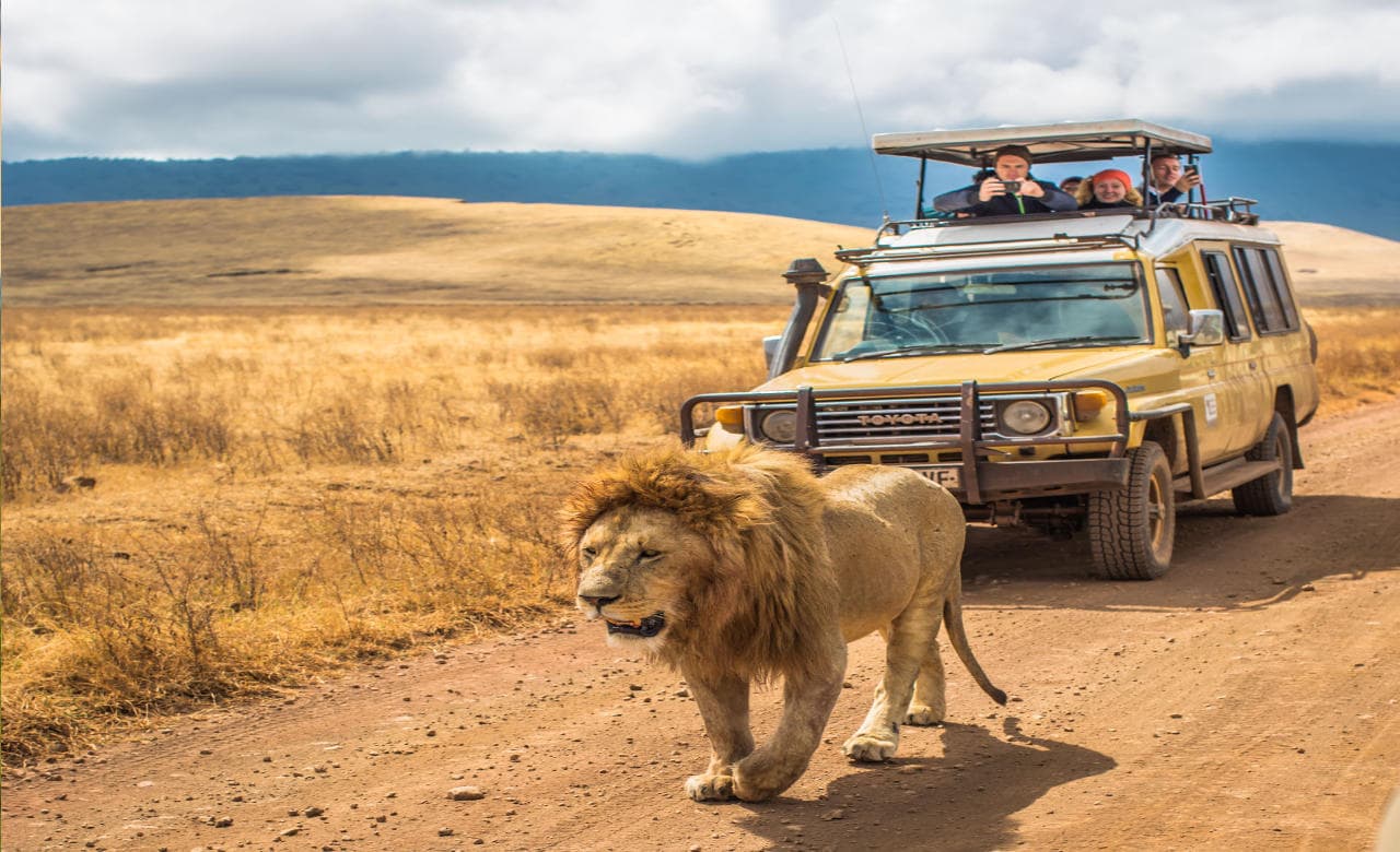 Tanzania 6 