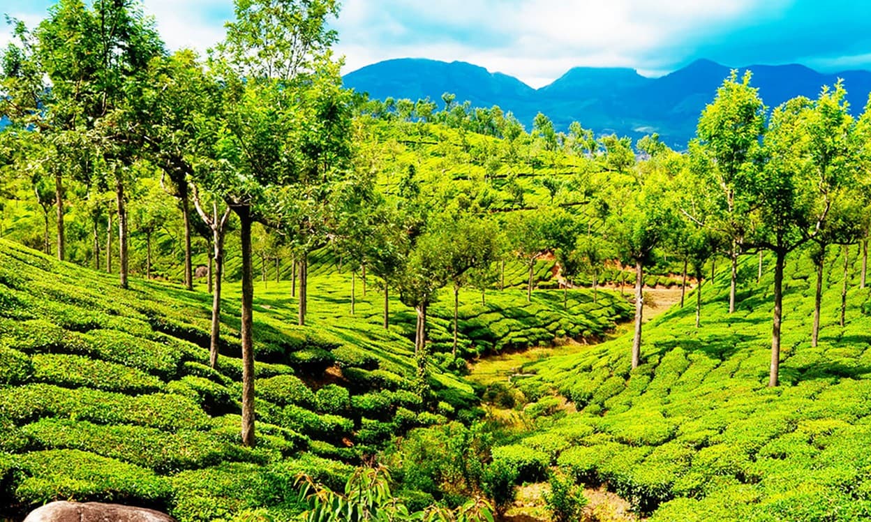 Thekkady