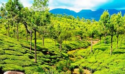 Thekkady