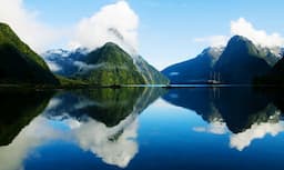 NZ 3