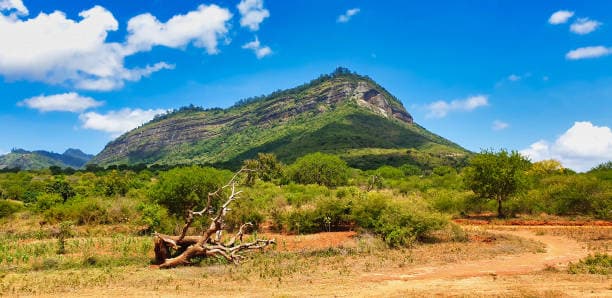 Aberdare National Park
