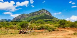 Aberdare National Park