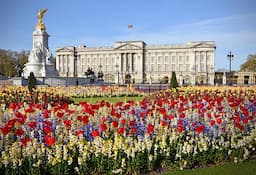 backingham palace