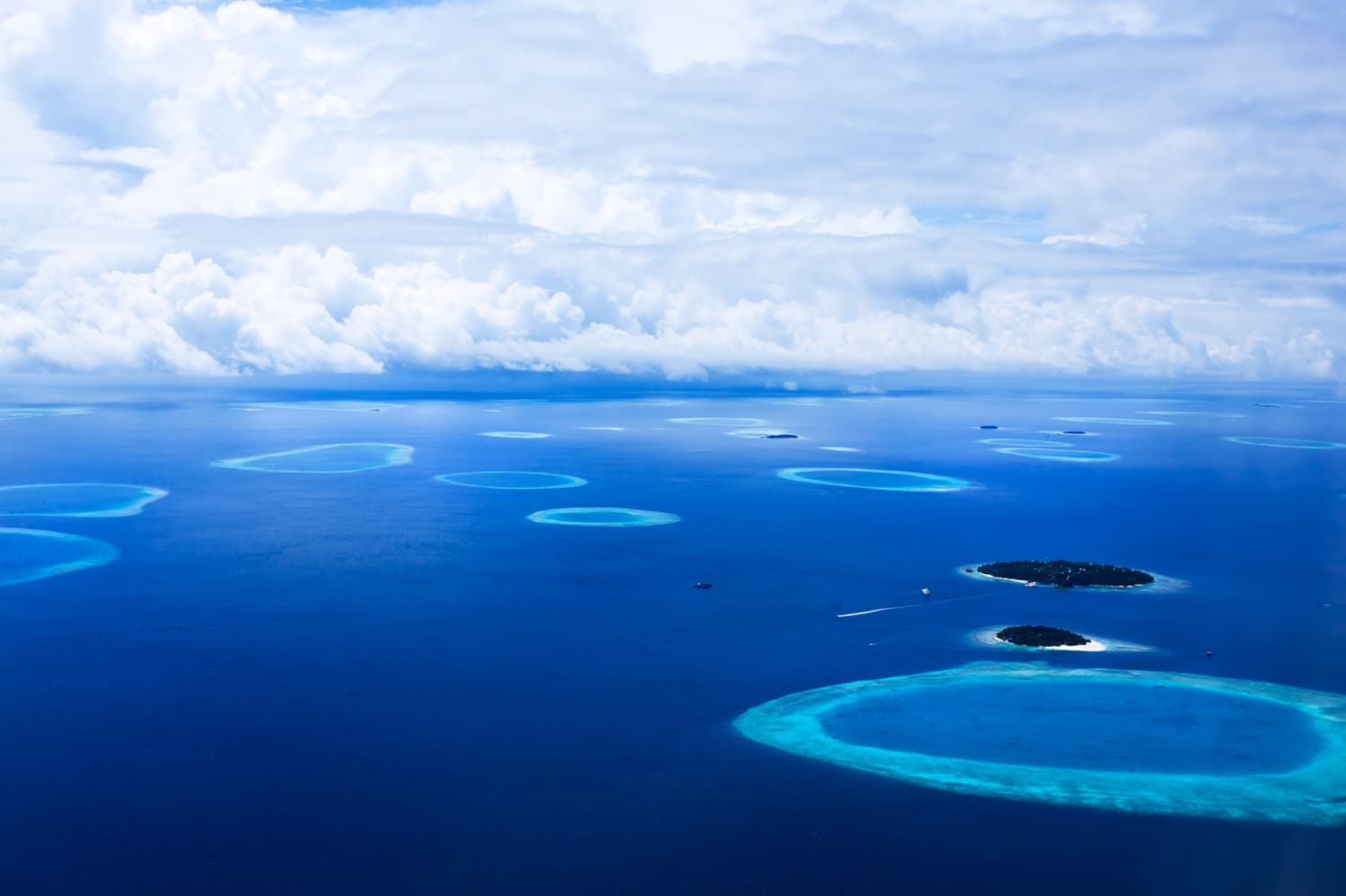 baros reef