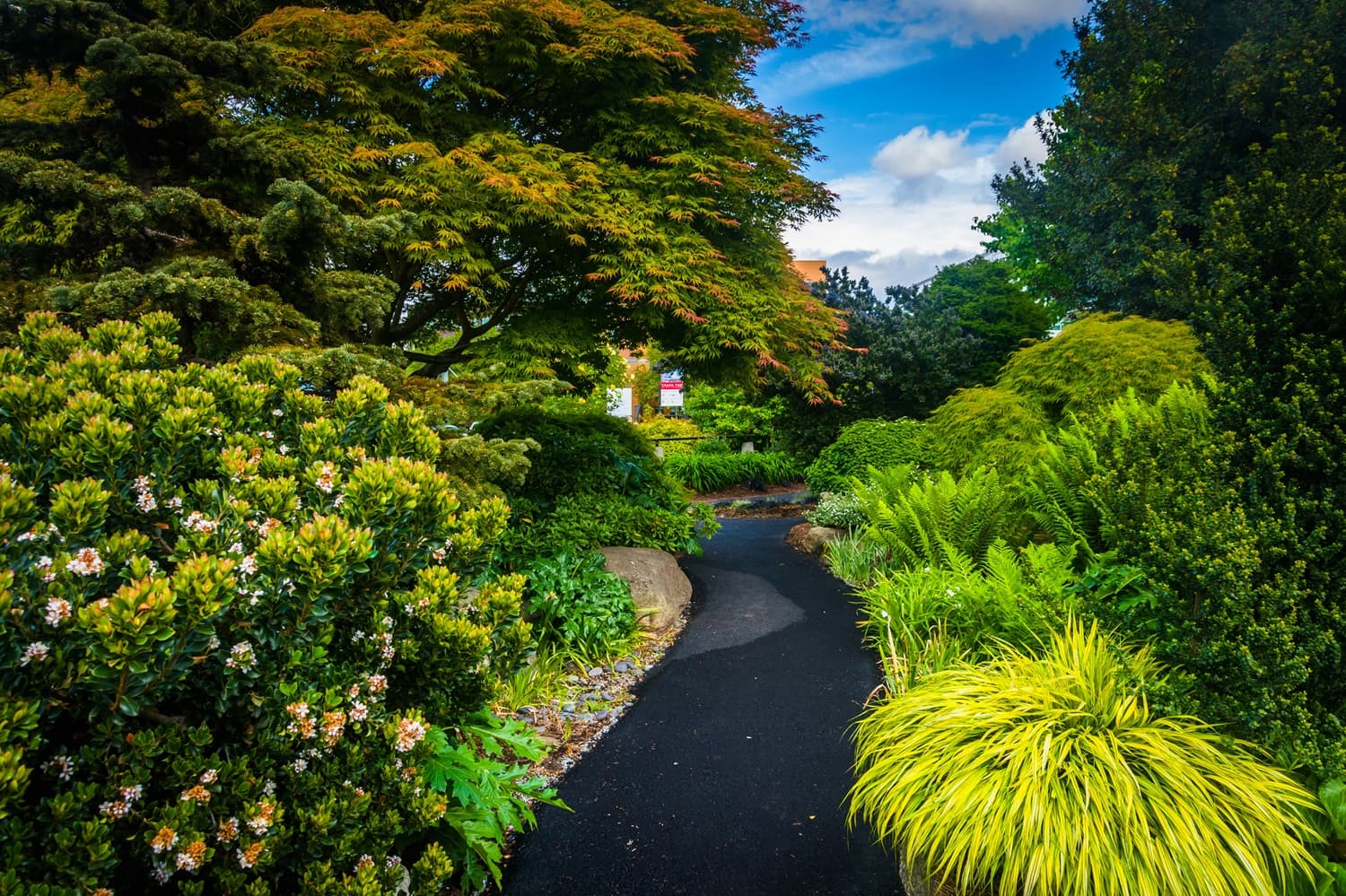 Botanic Gardens