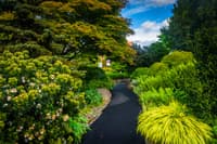Botanic Gardens