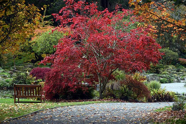 Botanic Gardens
