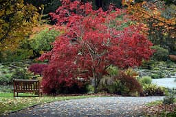 Botanic Gardens